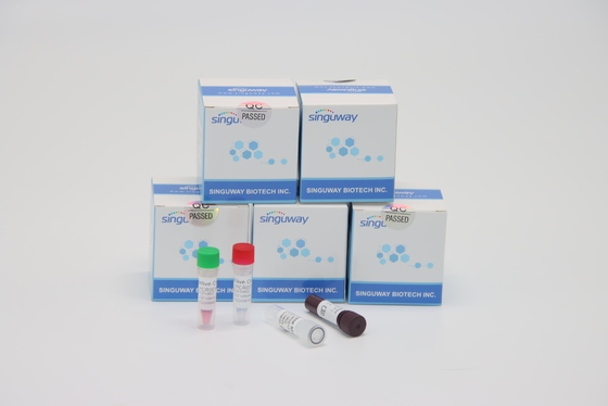Лаборатория набора PCR RT Ultrafast вируса Thalassemia испытывая используя набор PCR TB