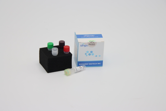 HIFi реагенты Singuway PCR RT набора PCR транскрипции обратного ДНК полимеразы