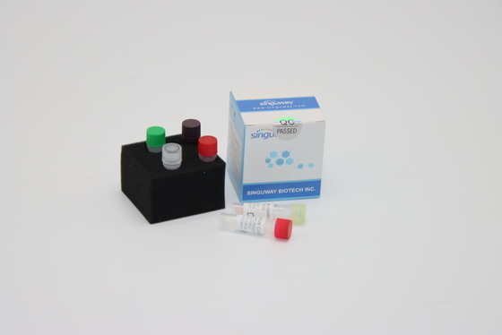 Ultrafast реагенты набора обнаружения PCR ДНК вируса бешенства требуемые для PCR
