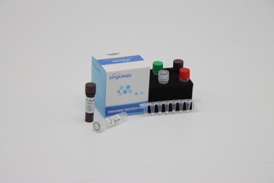 Реагент ISO13485 набора обнаружения PCR молекулярного диагноза количественный не позднее 30 минут