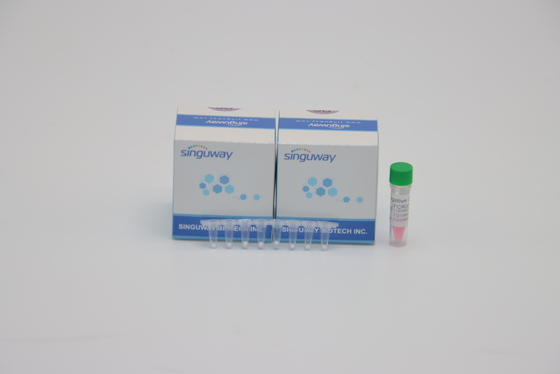 ДНК набора обнаружения PCR TB туберкулеза микобактерии лаборатории POCT IVD испытывая ISO9001