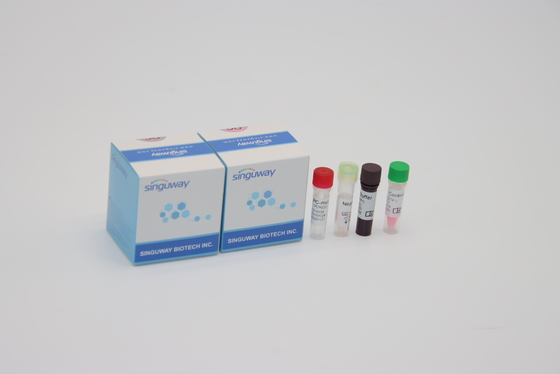 Перегласовки гаммы перепада альфы бета одна пробирка набора шага QPCR устная для использования лаборатории