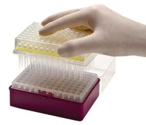 Пипетка PCR лаборатории потребляемая наклоняет устранимые подсказки 10-1250μL микропипетки