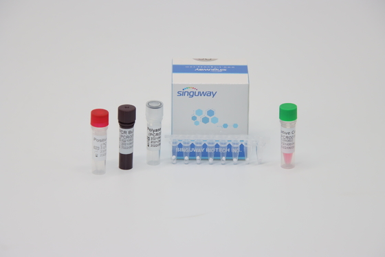 HPV 16 набор ISO13485 теста PCR кисловочный испытывать RT 18 вирусов нуклеиновый