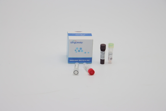 Реагенты ISO13485 реакции PCR системы мултиплекса устного образца пробирки количественные