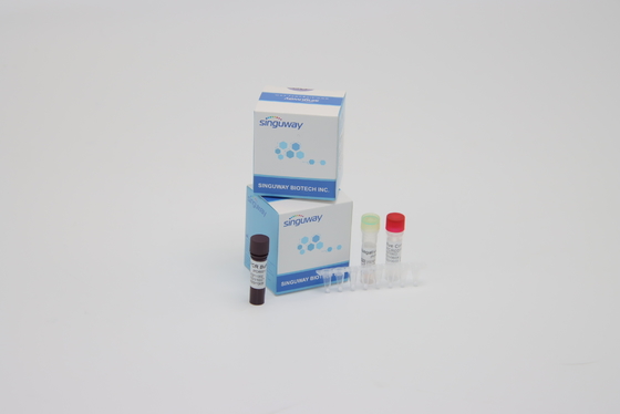 Реагенты обнаружения Coronavirus супер чувствительного набора в реальном времени PCR системы мултиплекса нуклеиновые кисловочные