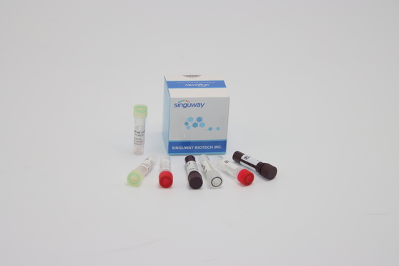 Генетическое тестирование набора обнаружения PCR ORF1ab HPV нуклеиновое кисловочное для клинического диагноза