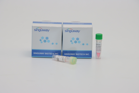 Дневное набора обнаружения PCR вируса Singuway HSV II количественное для генетического тестирования