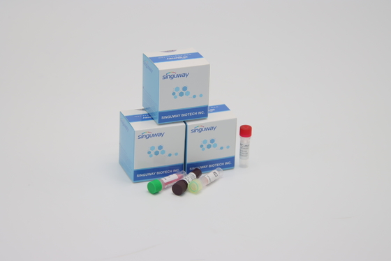 Наборы в реальном времени PCR теста Coronavirus CE диагностические Ultrafast не позднее 30 минут